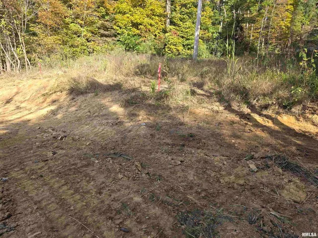 $54,000 | 255 Yellow Springs Road, Elizabethtown, IL 62931