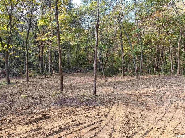 $54,000 | 255 Yellow Springs Road, Elizabethtown, IL 62931