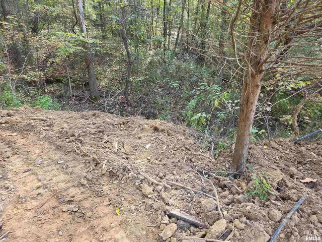 $54,000 | 255 Yellow Springs Road, Elizabethtown, IL 62931