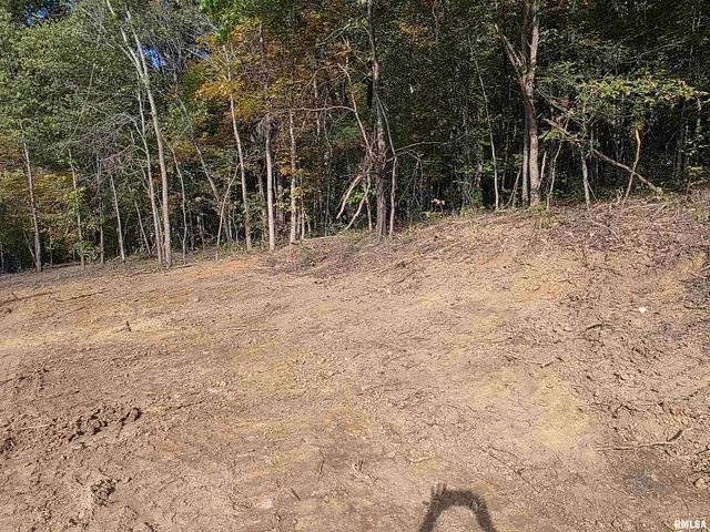 $54,000 | 255 Yellow Springs Road, Elizabethtown, IL 62931