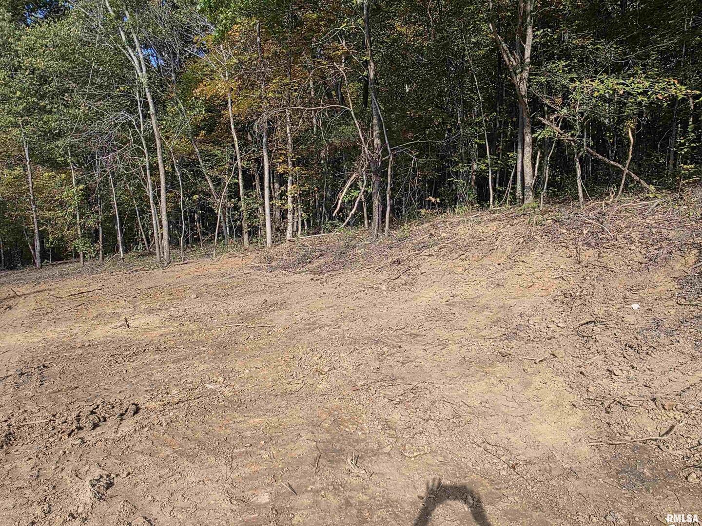 255 Yellow Springs Road Elizabethtown, IL 62931 - Photo 9 of 15