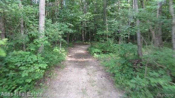 12380 Hegel Road Goodrich, MI 48438 - Photo 40 of 43 IMG_7563.JPG
