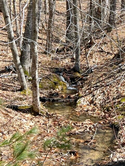 Lot 15 Lovell Road Harrison, ME 04040 - Photo 4 of 14 Small brook