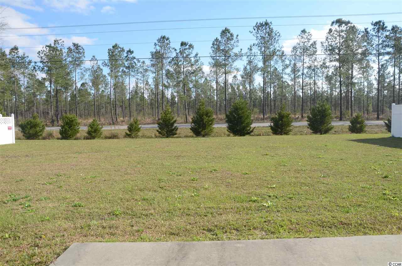 650 Seth Lane Longs, SC 29568 - Photo 22 of 23 Gallery Image 22