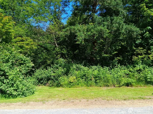 $60,000 | 22606 Paul Bunyan, Yelm, WA 98597