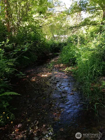 $60,000 | 22606 Paul Bunyan, Yelm, WA 98597