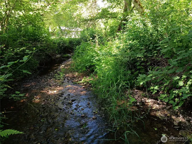 $60,000 | 22606 Paul Bunyan, Yelm, WA 98597