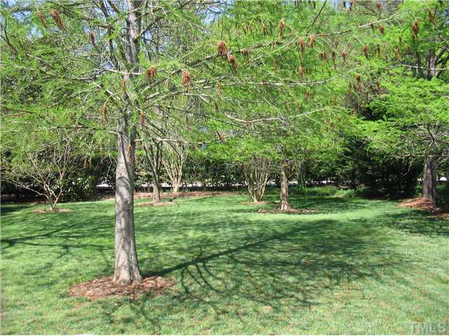 613 Lake Boone Trail Raleigh, NC 27608 - Photo 17 of 18 a view of a backyard with large trees