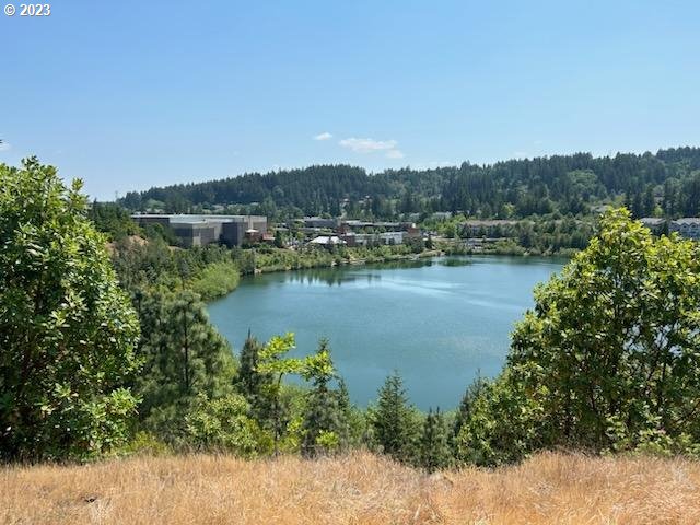 14182 Southwest Barrows Road, Unit 2 Portland, OR 97223 - Photo 34 of 34 Gallery Image 34
