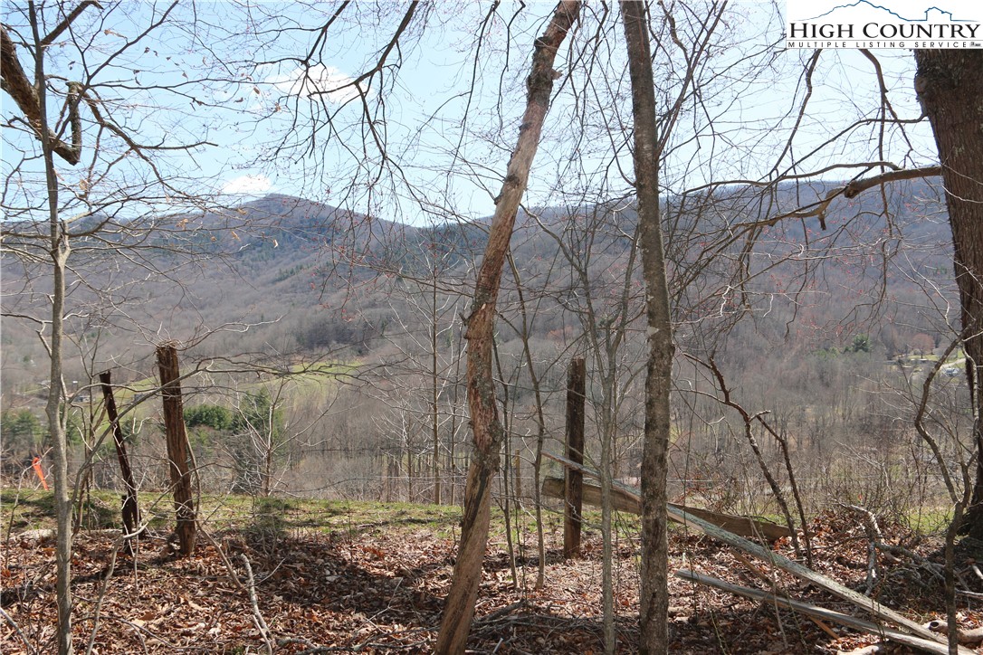 Ed Little Road Warrensville, NC 28693 - Photo 11 of 20 Gallery Image 11