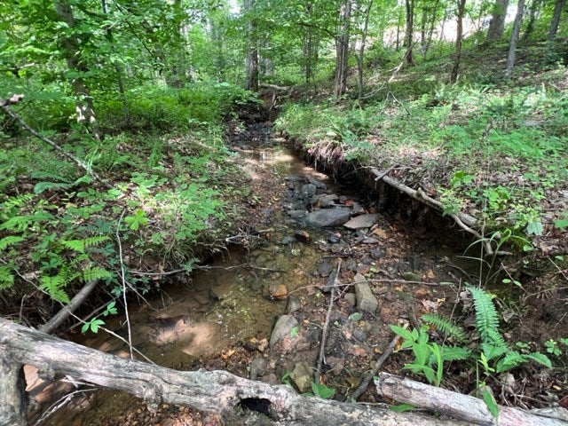 Old Courthouse Road Appomattox, VA 24522 - Photo 15 of 23 Gallery Image 15