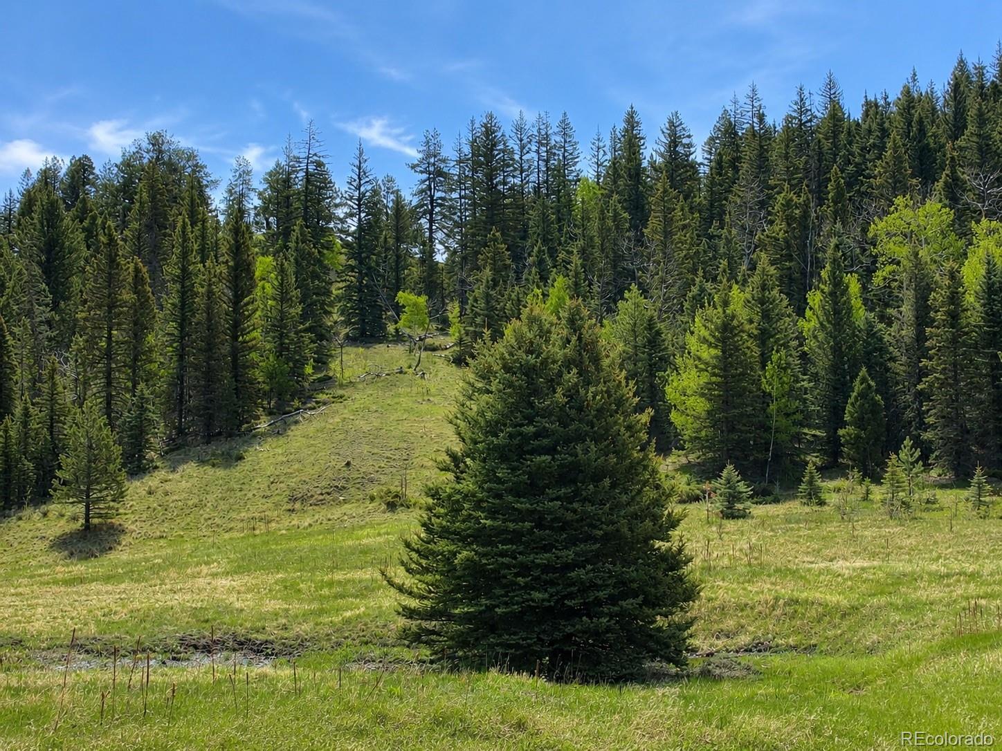 Lot 1 Co Road Westcliffe, CO 81252 - Photo 6 of 42