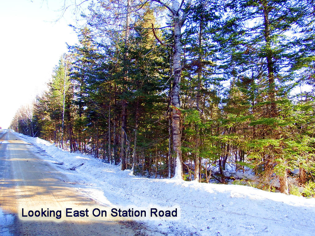 342 Station Road Littleton, ME 04730 - Photo 15 of 21 342-station-rd-land-2
