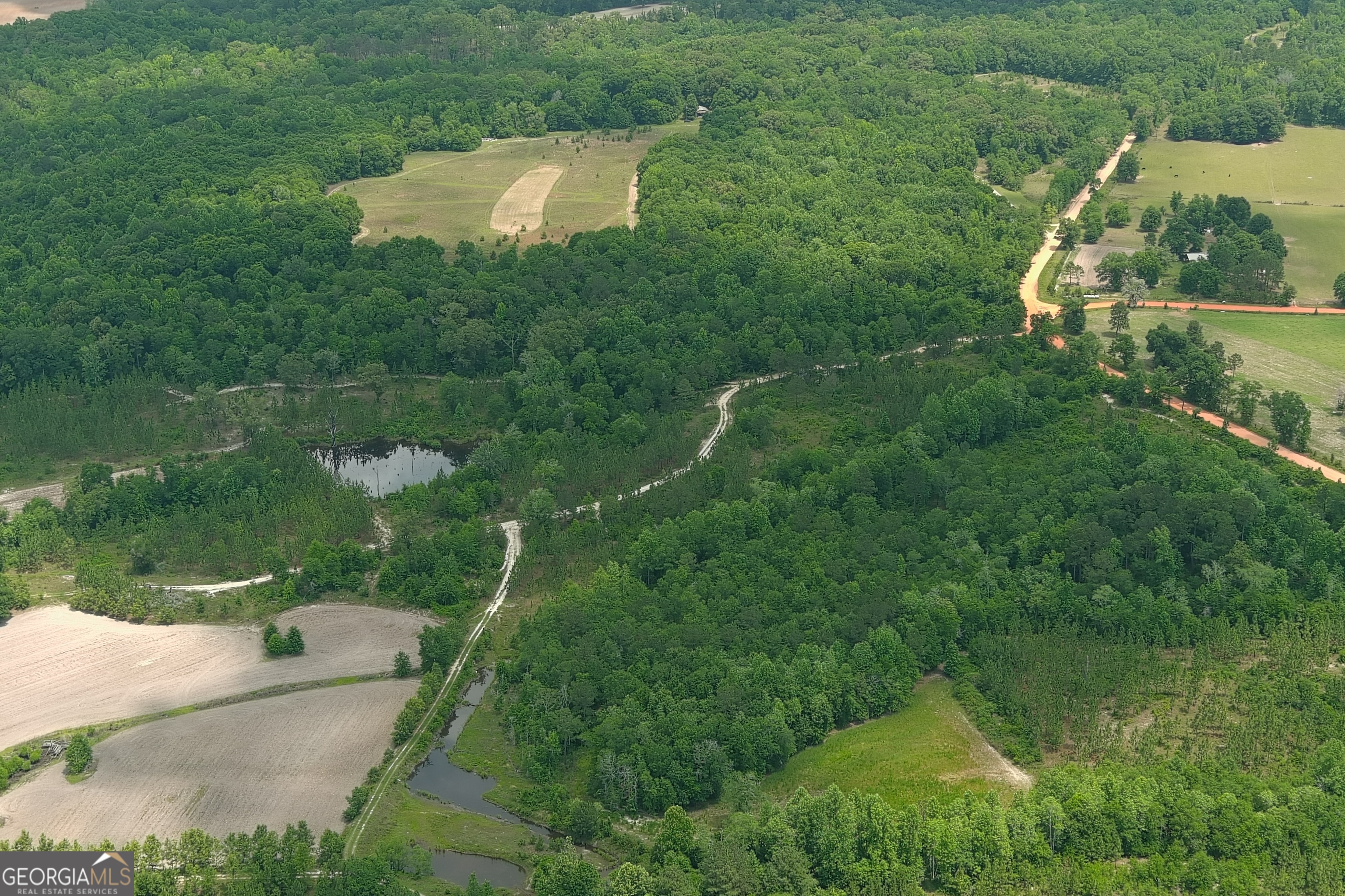 0 Rocky Mt Church Road Eufaula, AL 36027 - Photo 34 of 35