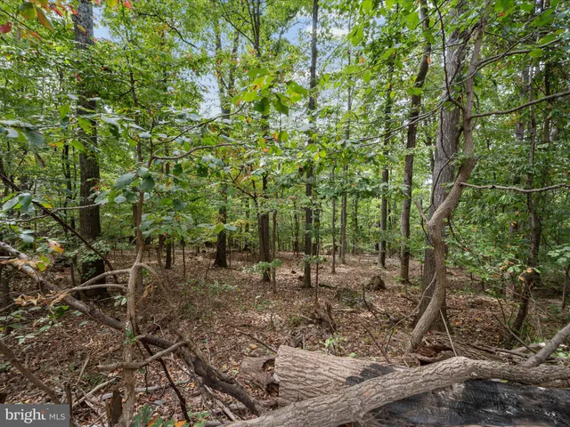 $14,900 | Lot 17 Mill Stone Run, Harpers Ferry, WV 25425