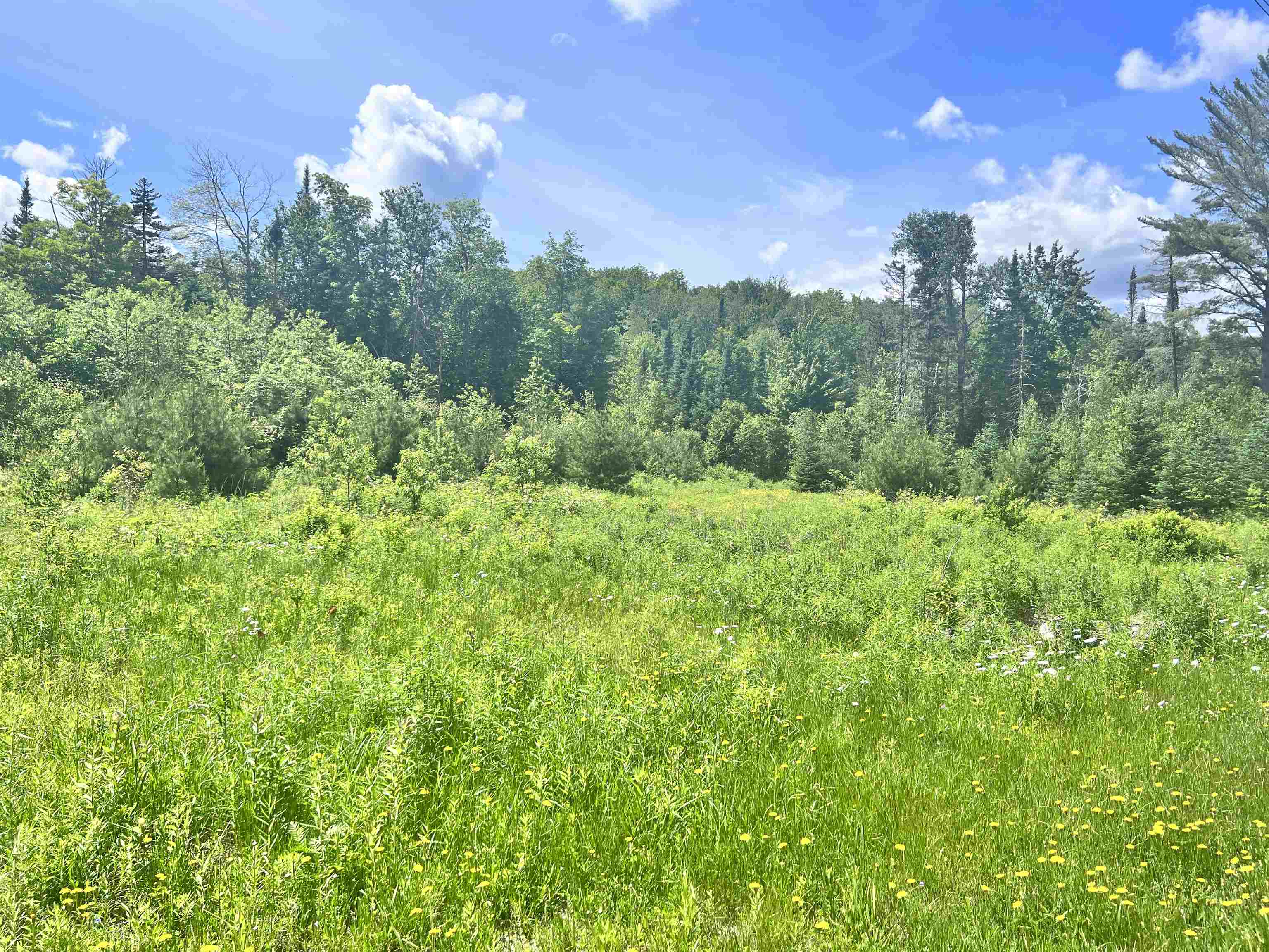 Lot 9 Steiss Road Milan, NH 03588 - Photo 1 of 8