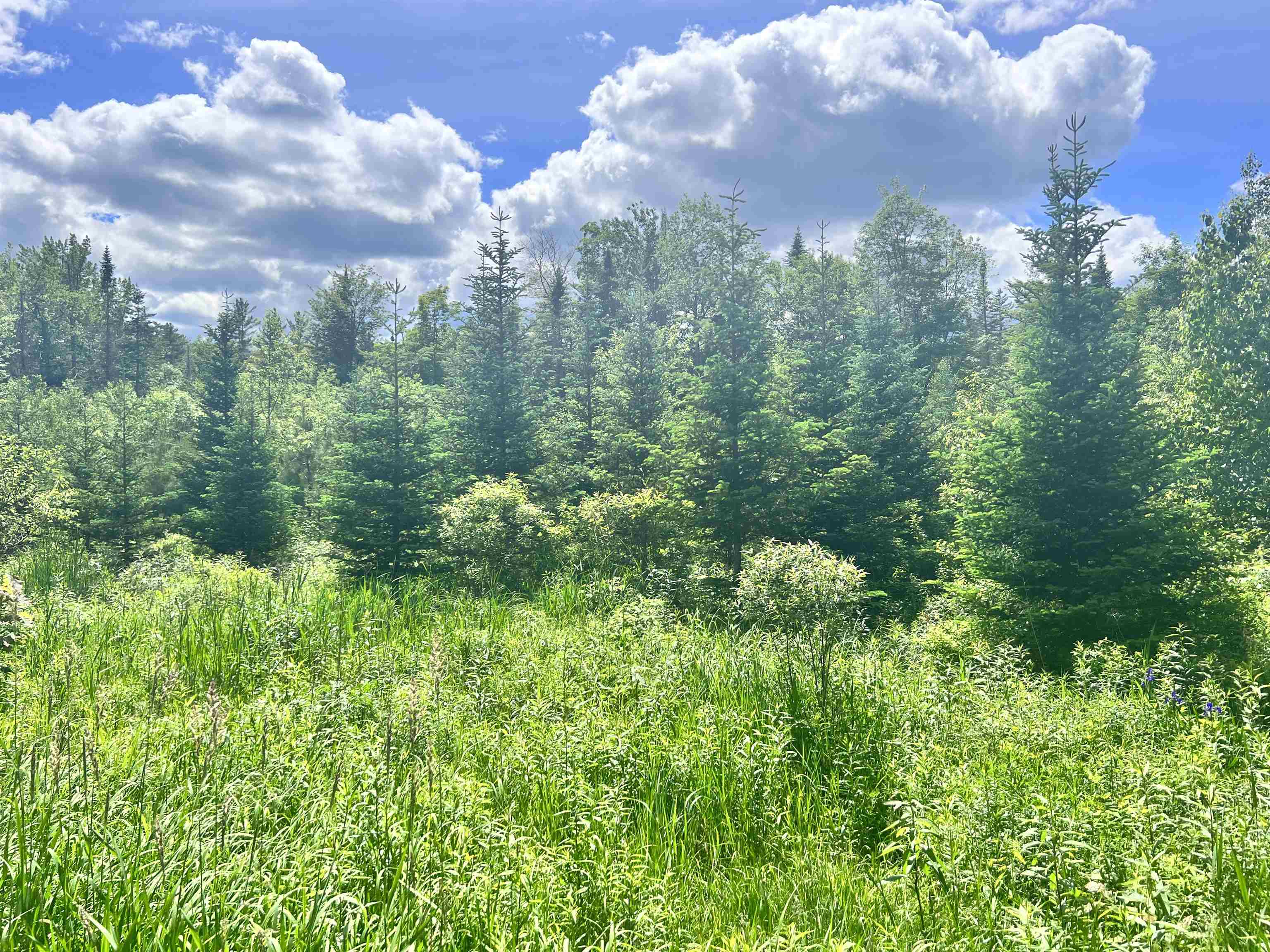 Lot 9 Steiss Road Milan, NH 03588 - Photo 2 of 8
