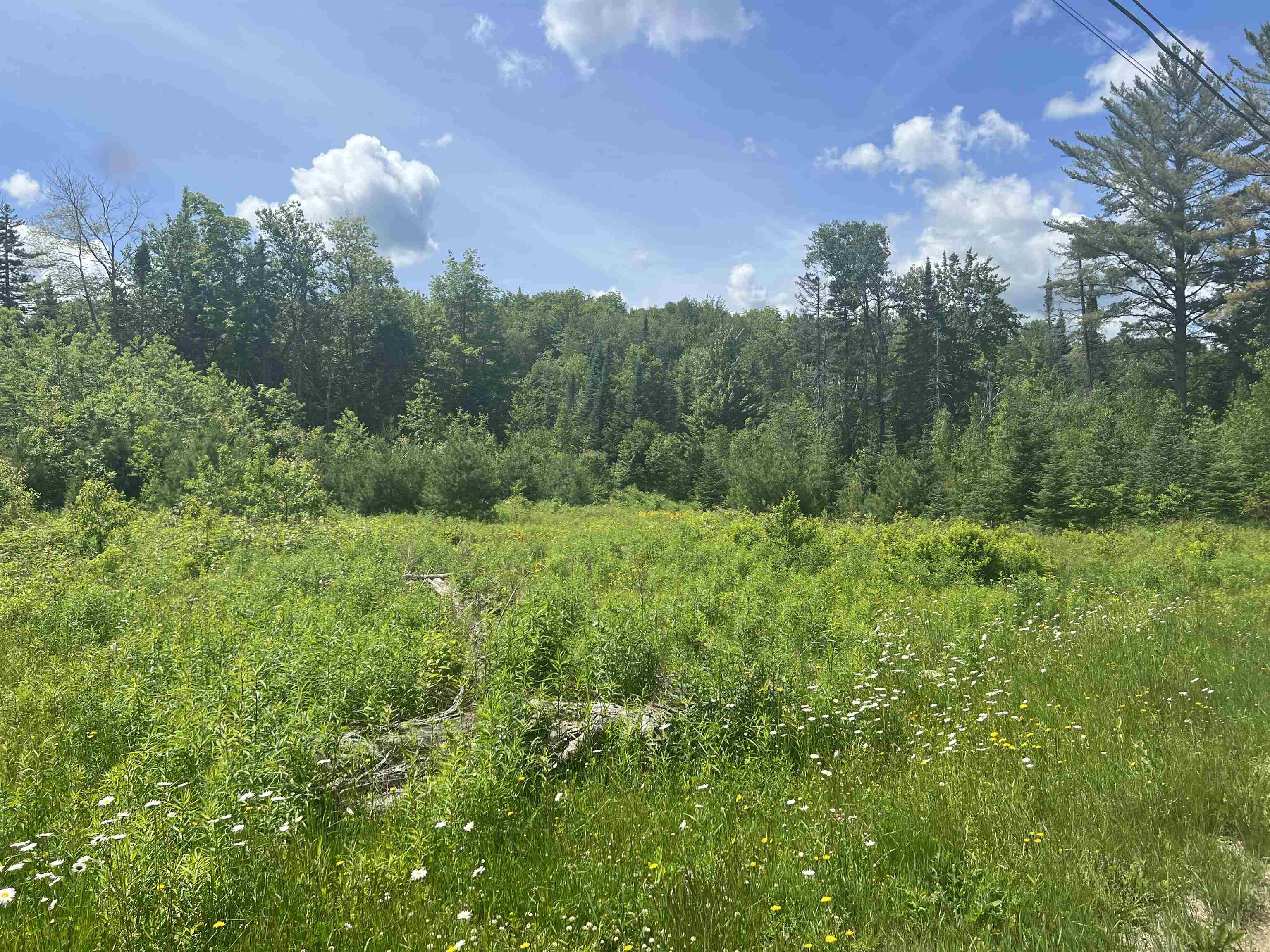 Lot 9 Steiss Road Milan, NH 03588 - Photo 3 of 8