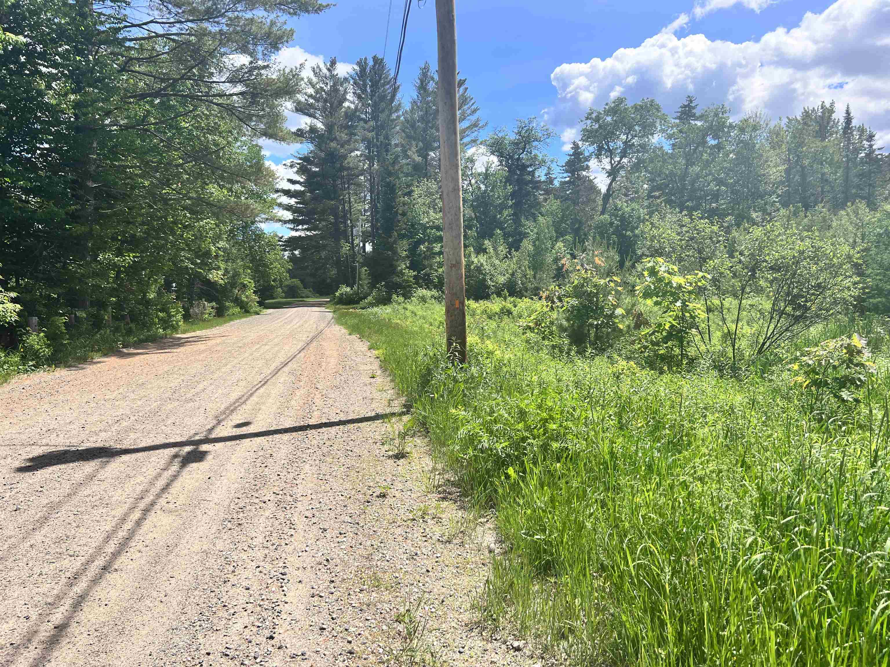 Lot 9 Steiss Road Milan, NH 03588 - Photo 4 of 8