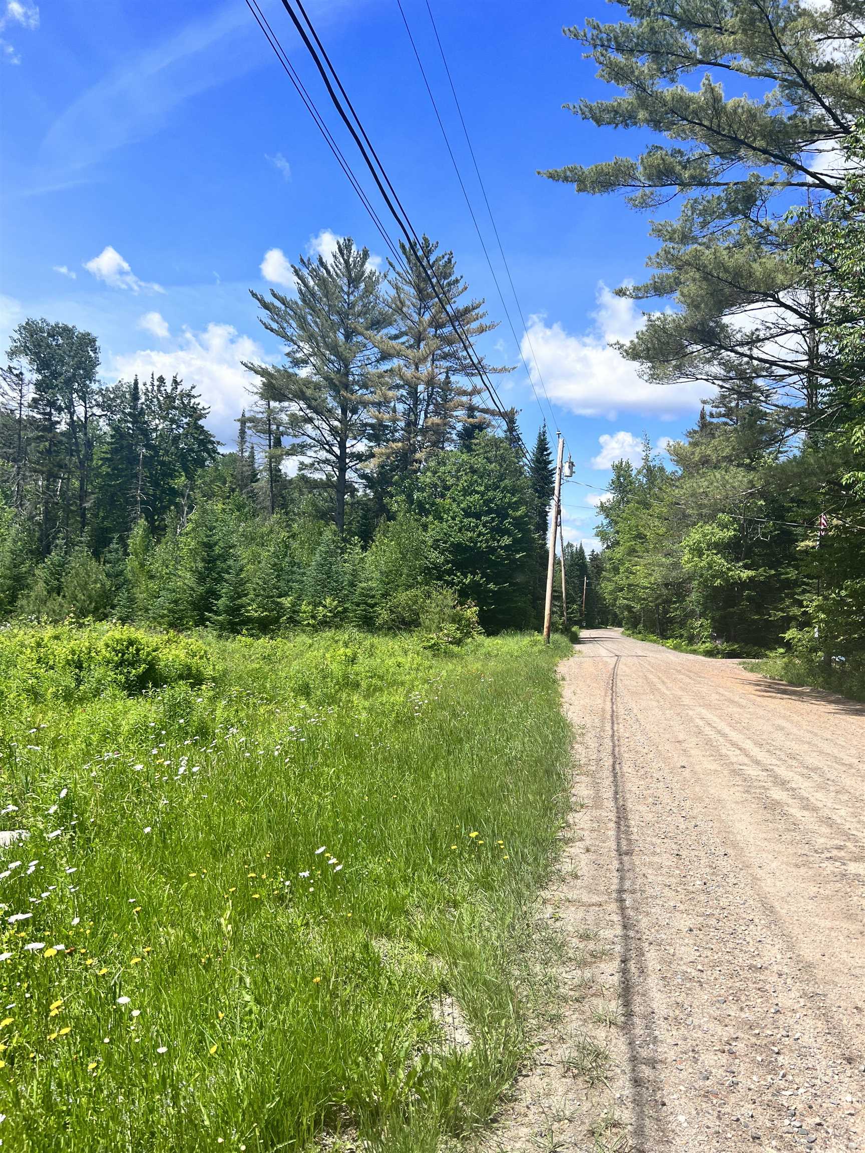 Lot 9 Steiss Road Milan, NH 03588 - Photo 5 of 8