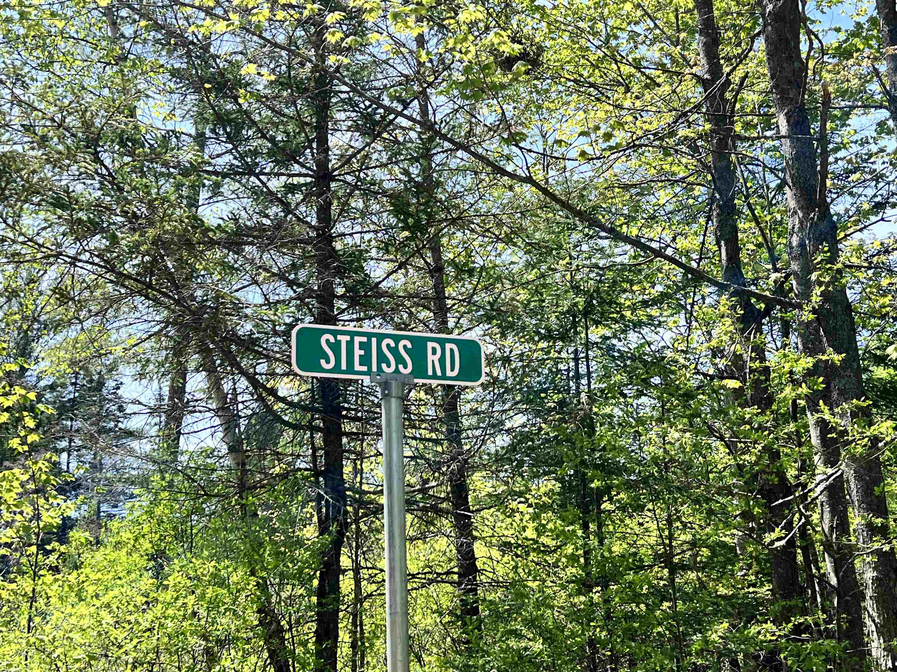 Lot 9 Steiss Road Milan, NH 03588 - Photo 6 of 8