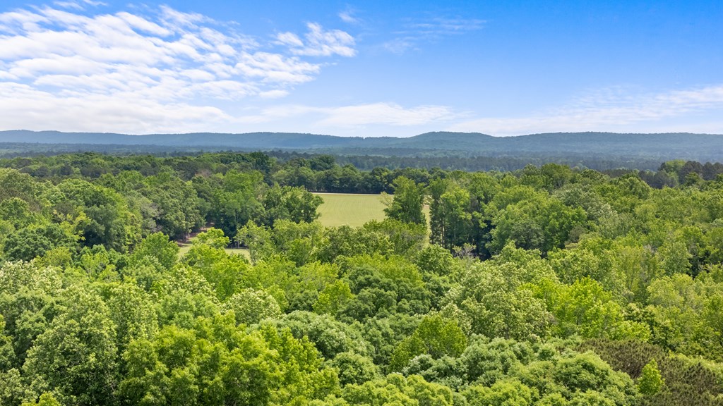 186 Beech Springs Road Pine Mountain, GA 31822 - Photo 11 of 59