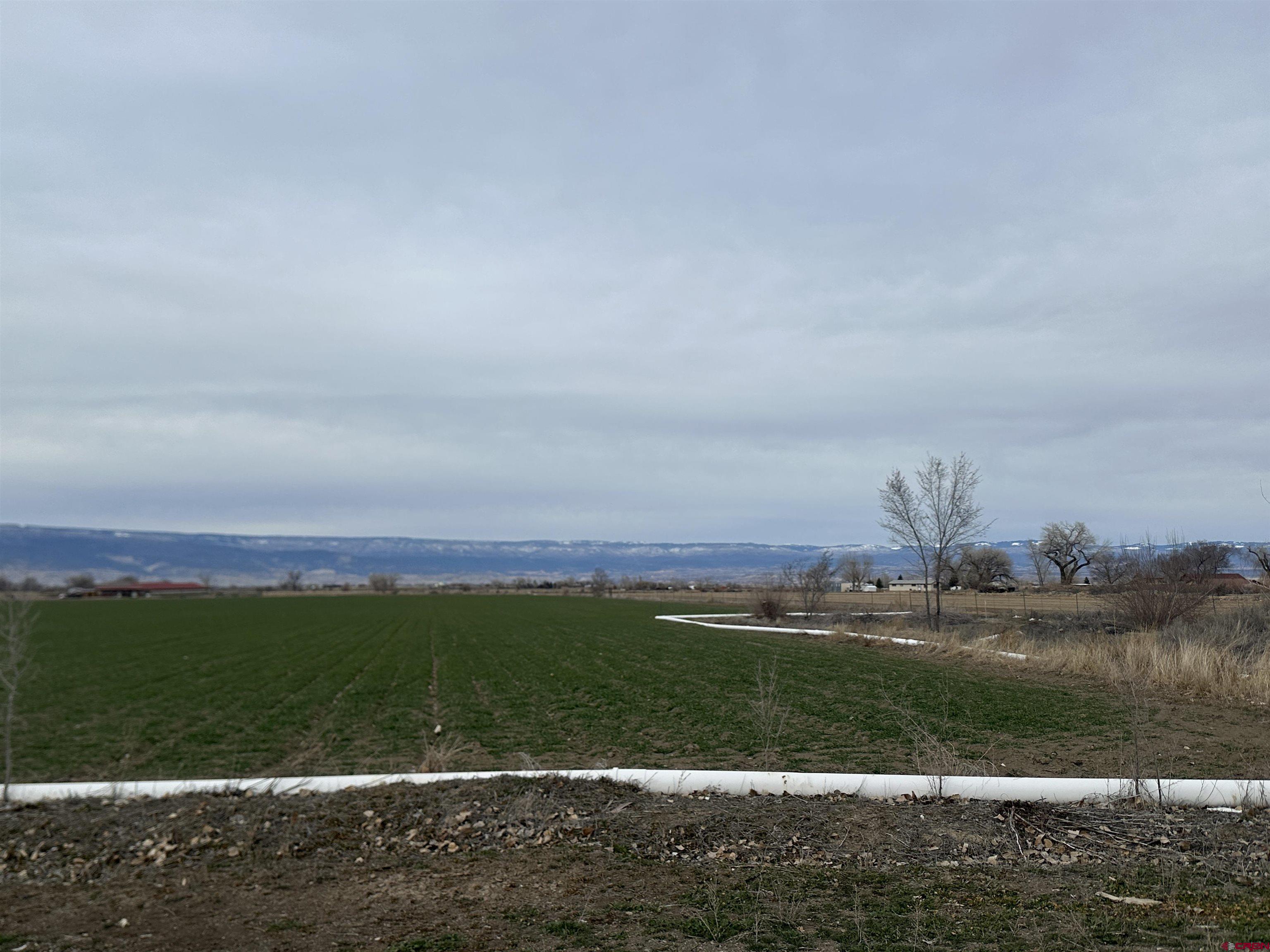 57001 Begonia Road Olathe, CO 81425 - Photo 36 of 37 a view of a lake with houses in the background