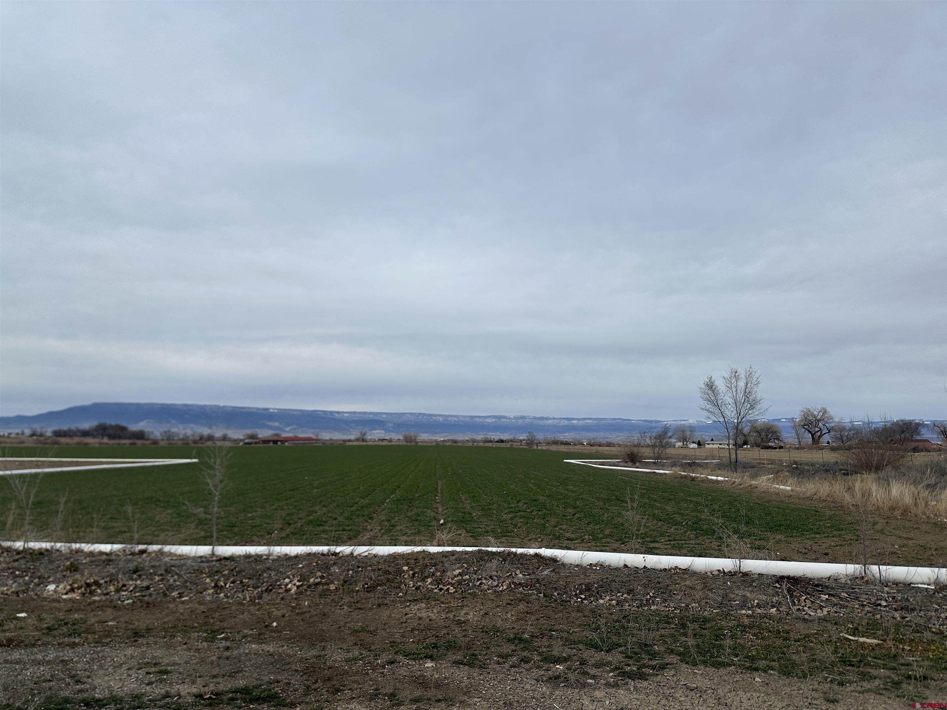 57001 Begonia Road Olathe, CO 81425 - Photo 37 of 37