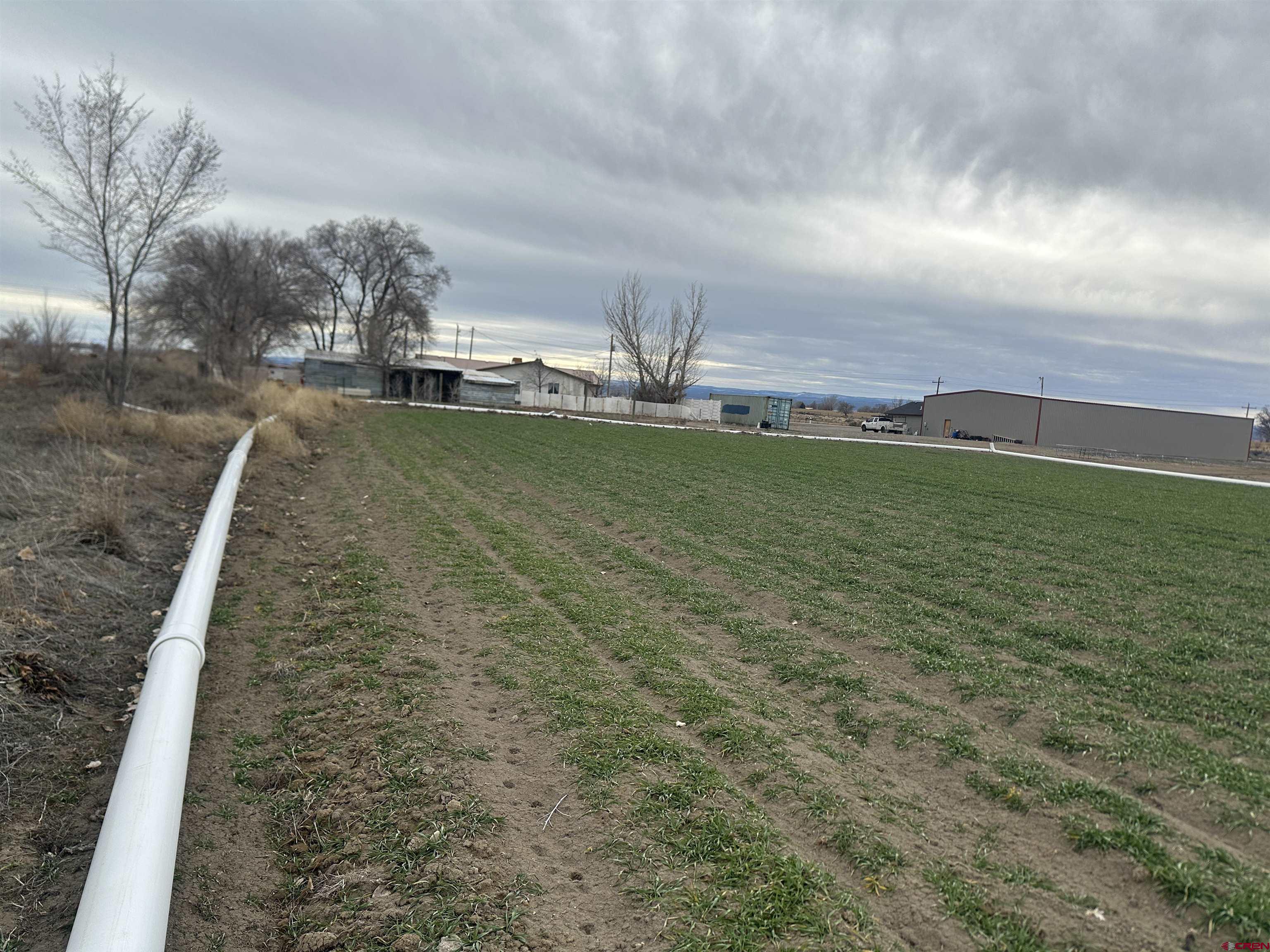 57001 Begonia Road Olathe, CO 81425 - Photo 5 of 37