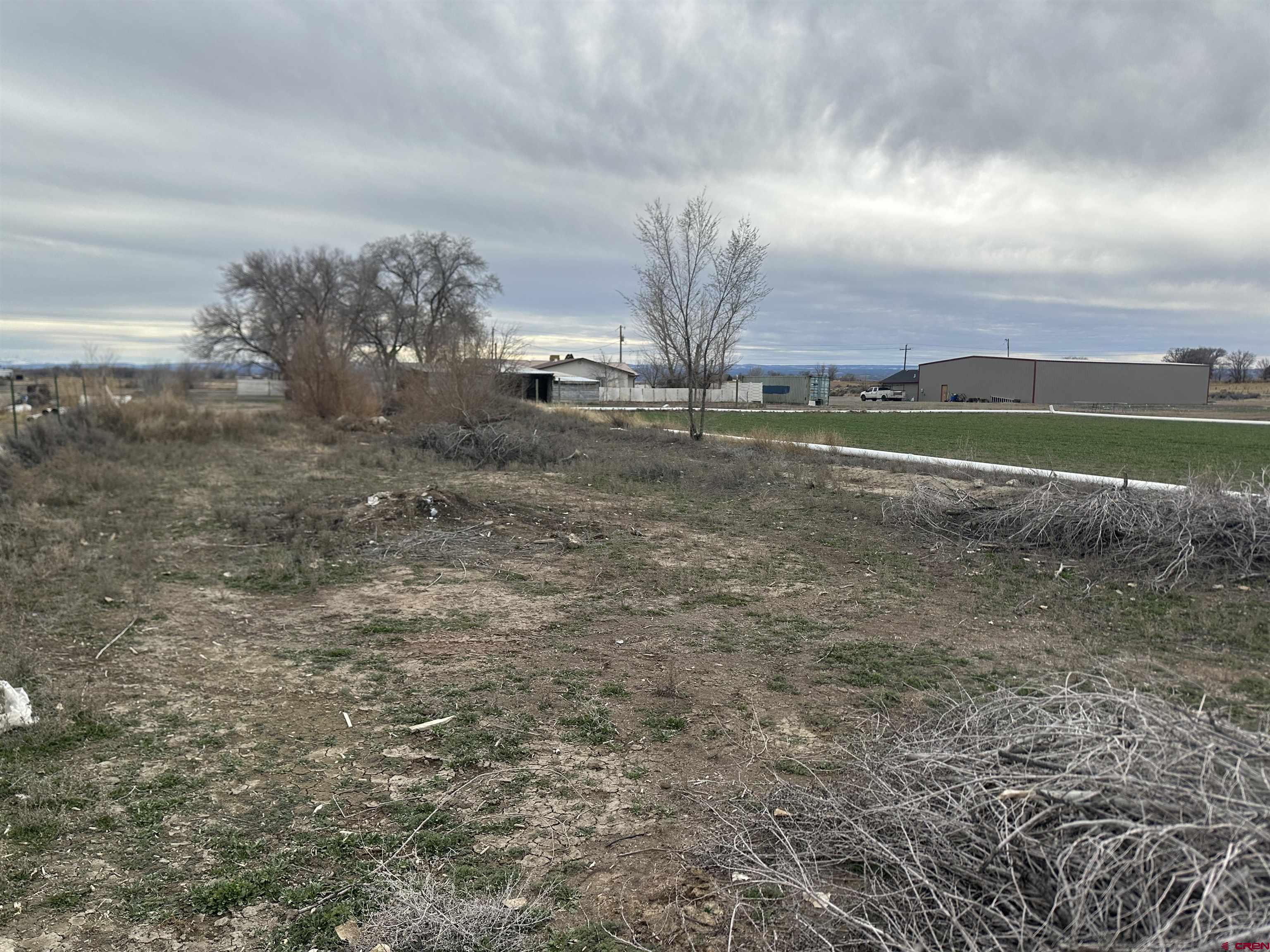 57001 Begonia Road Olathe, CO 81425 - Photo 6 of 37 a view of a field