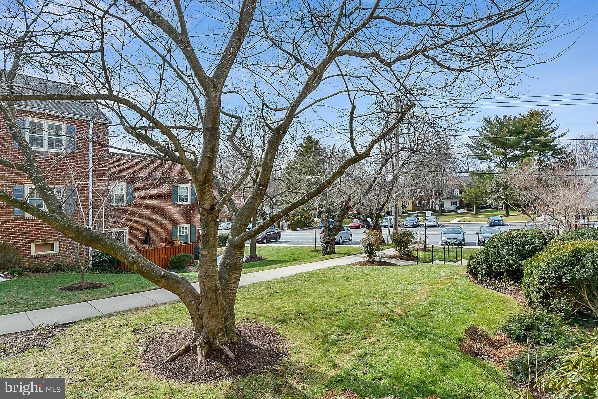 6681 Hillandale Road, Unit 124 Chevy Chase, MD 20815 - Photo 3 of 25 View