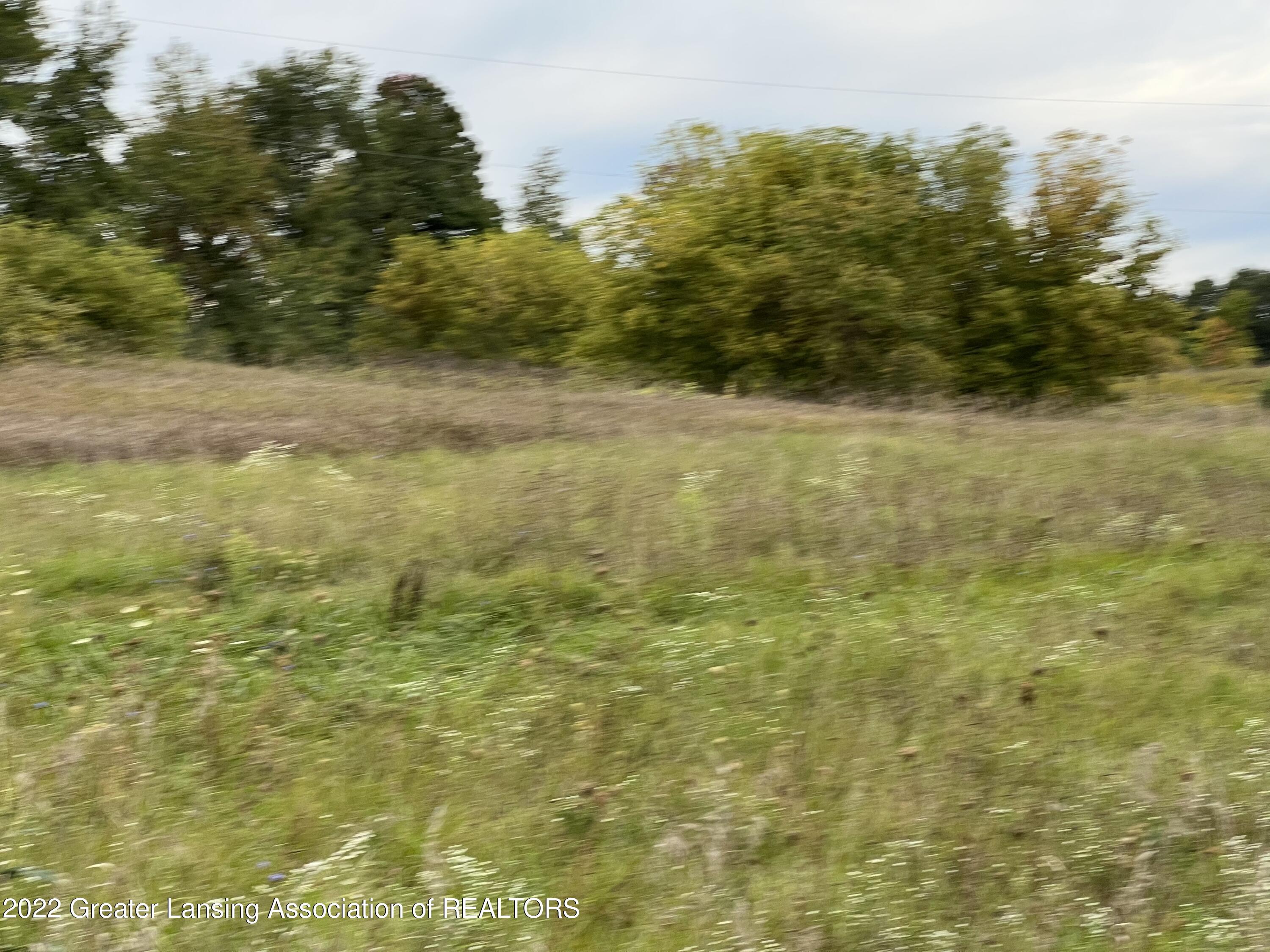 9665 Cox Road Bellevue, MI 49021 - Photo 5 of 8 7EB79C0E-77EA-4B41-8164-7936EB8B4395
