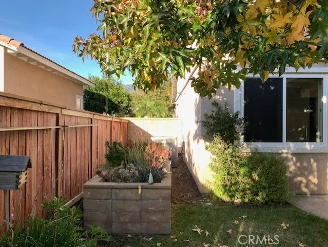 a view of a backyard with plants