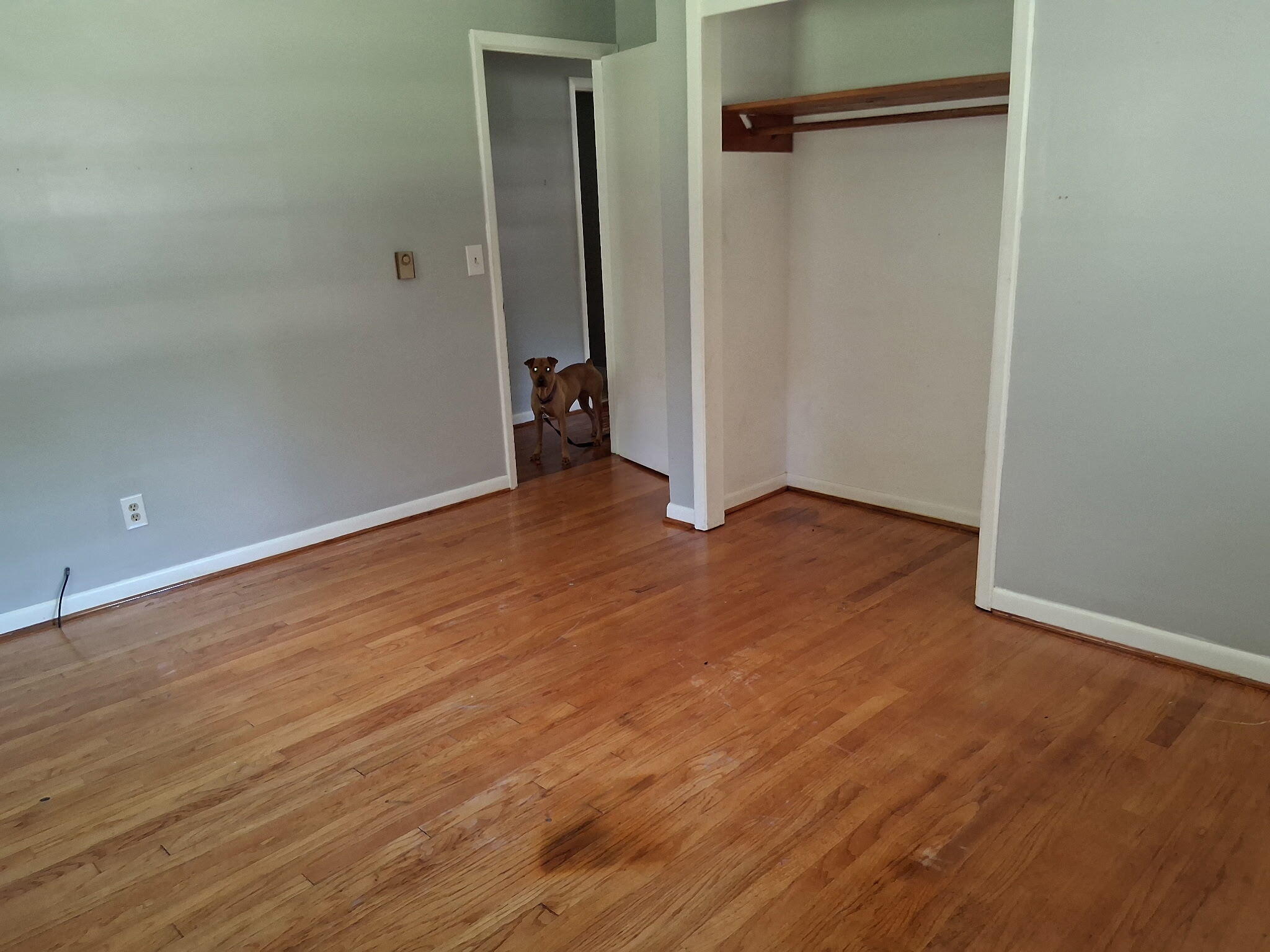 1120 Graham Street St. Stephen, SC 29479 - Photo 6 of 9 9595