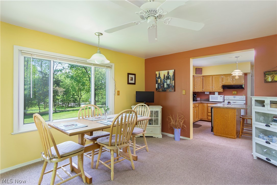 9457 Valley View Road Macedonia, OH 44056 - Photo 15 of 35 breakfast room leads to deck, lots of natural light