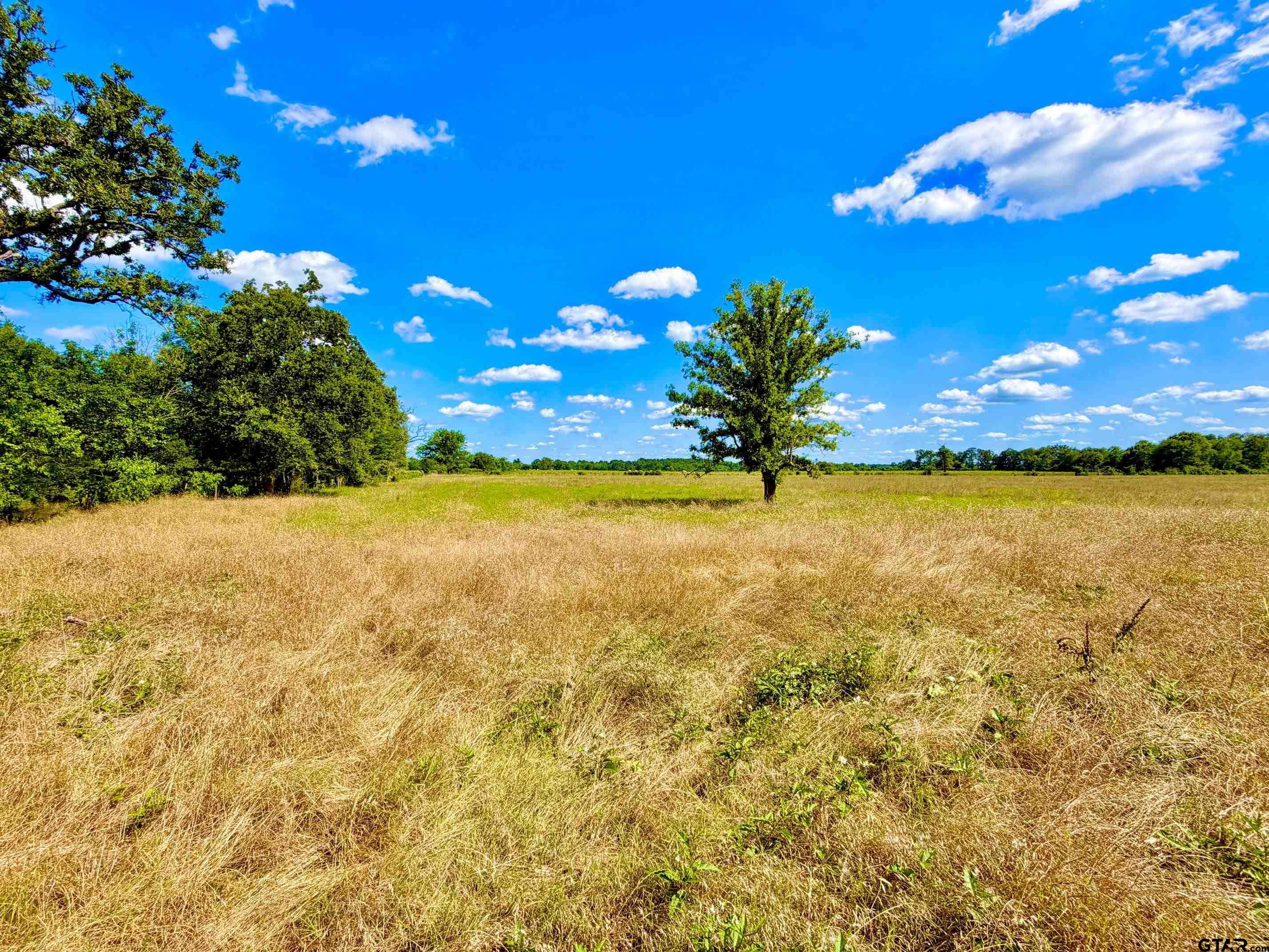Tbd Cooper Settlement Road Crockett, TX 75835 - Photo 10 of 11