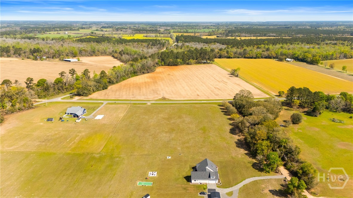 0 Clevy Deloach Road Brooklet, GA 30415 - Photo 5 of 6