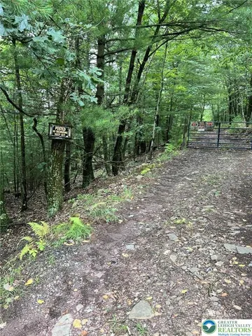 a view of outdoor space and trees