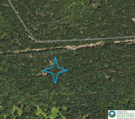 a aerial view of a yard