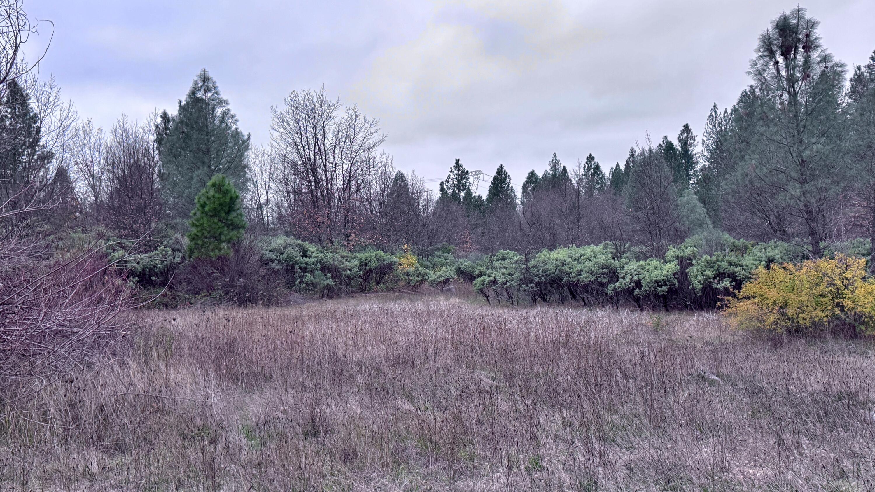 15.77 Acres Dittman Road Montgomery Creek, CA 96065 - Photo 9 of 26 FullSizeRender