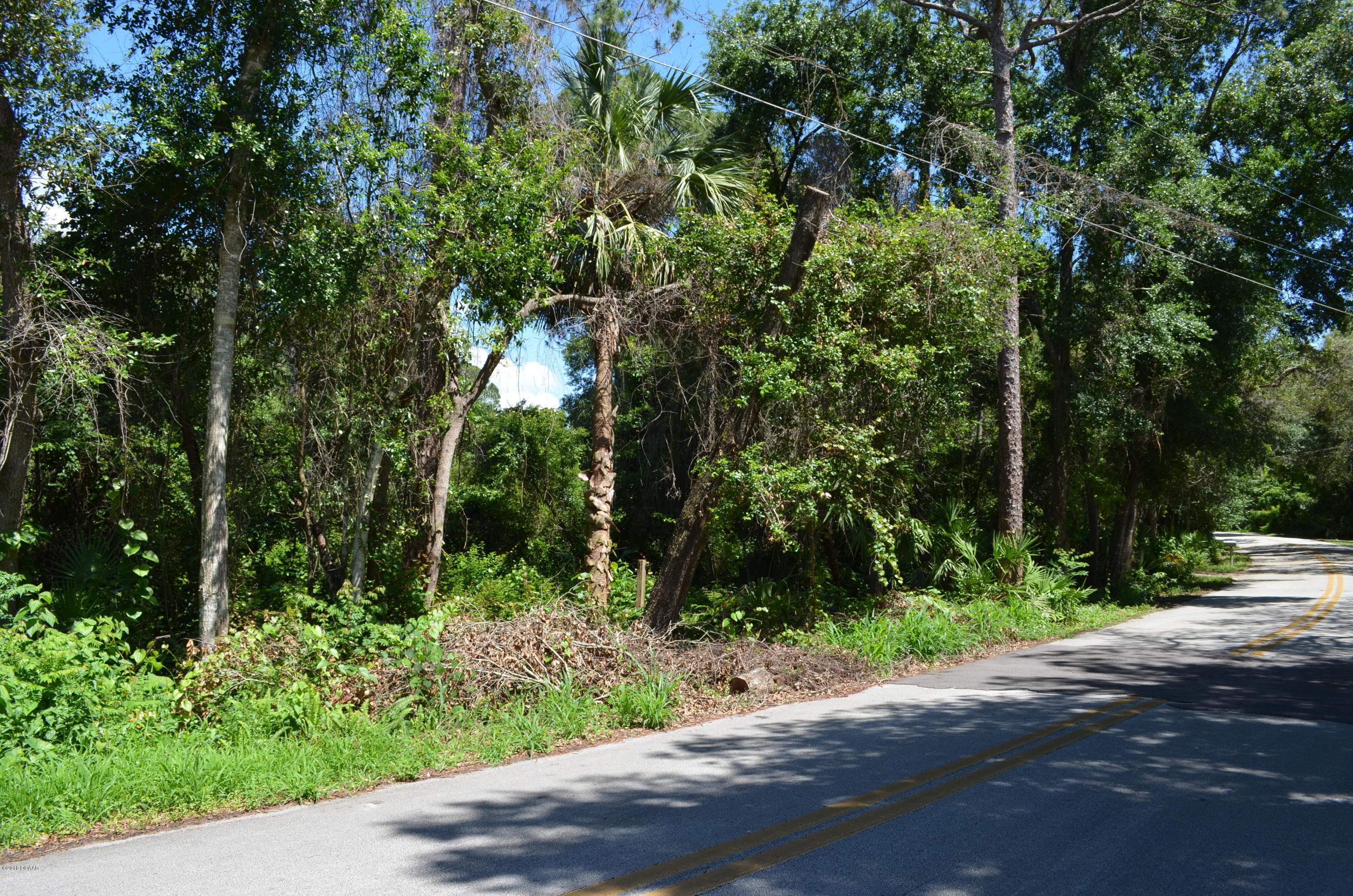 128 Matanzas Road DeBary, FL 32713 - Photo 50 of 50 DSC_0011