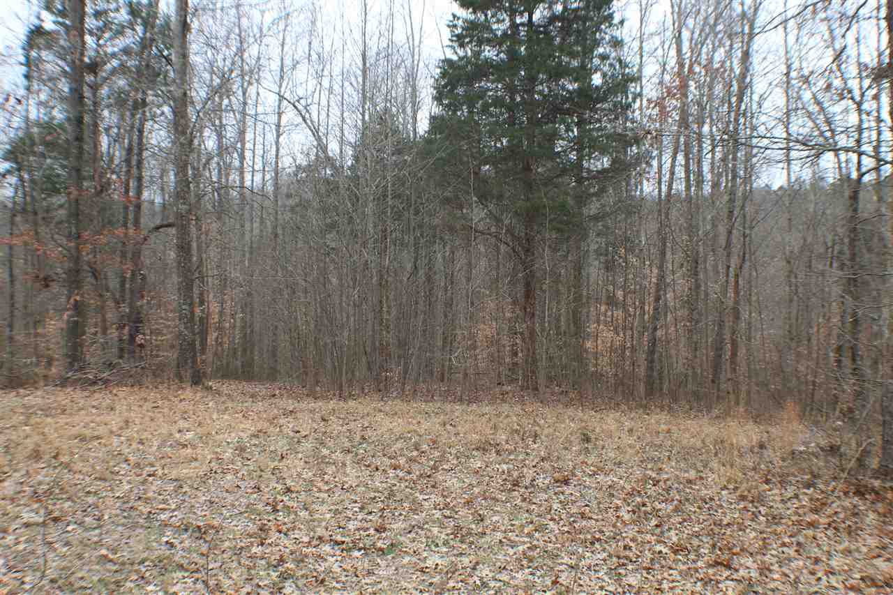 5606 Forgy Mill Road Dunmor, KY 42339 - Photo 15 of 28 Gallery Image 15