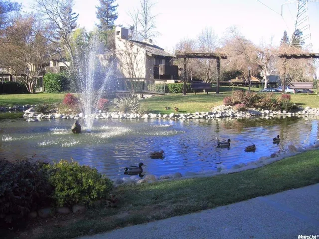 an outdoor space with patio and a garden