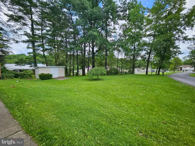 a view of a park with large trees