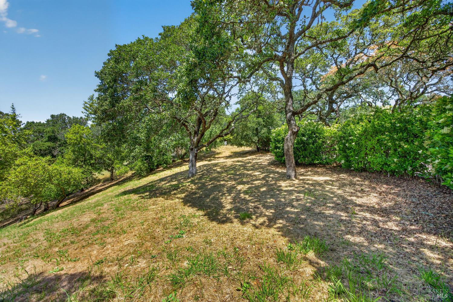 10 Lockton Lane Novato, CA 94945 - Photo 56 of 68 Flat area along Lockton Lane offering potential for outdoor recreation, seating, dining, a pool, or sport-court concept, subject to approvals.