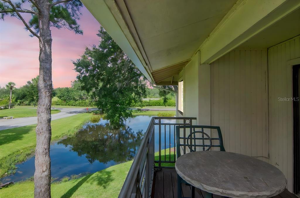 4947 Mill Pond Road, Unit 3104/3106 Wesley Chapel, FL 33543 - Photo 19 of 31
