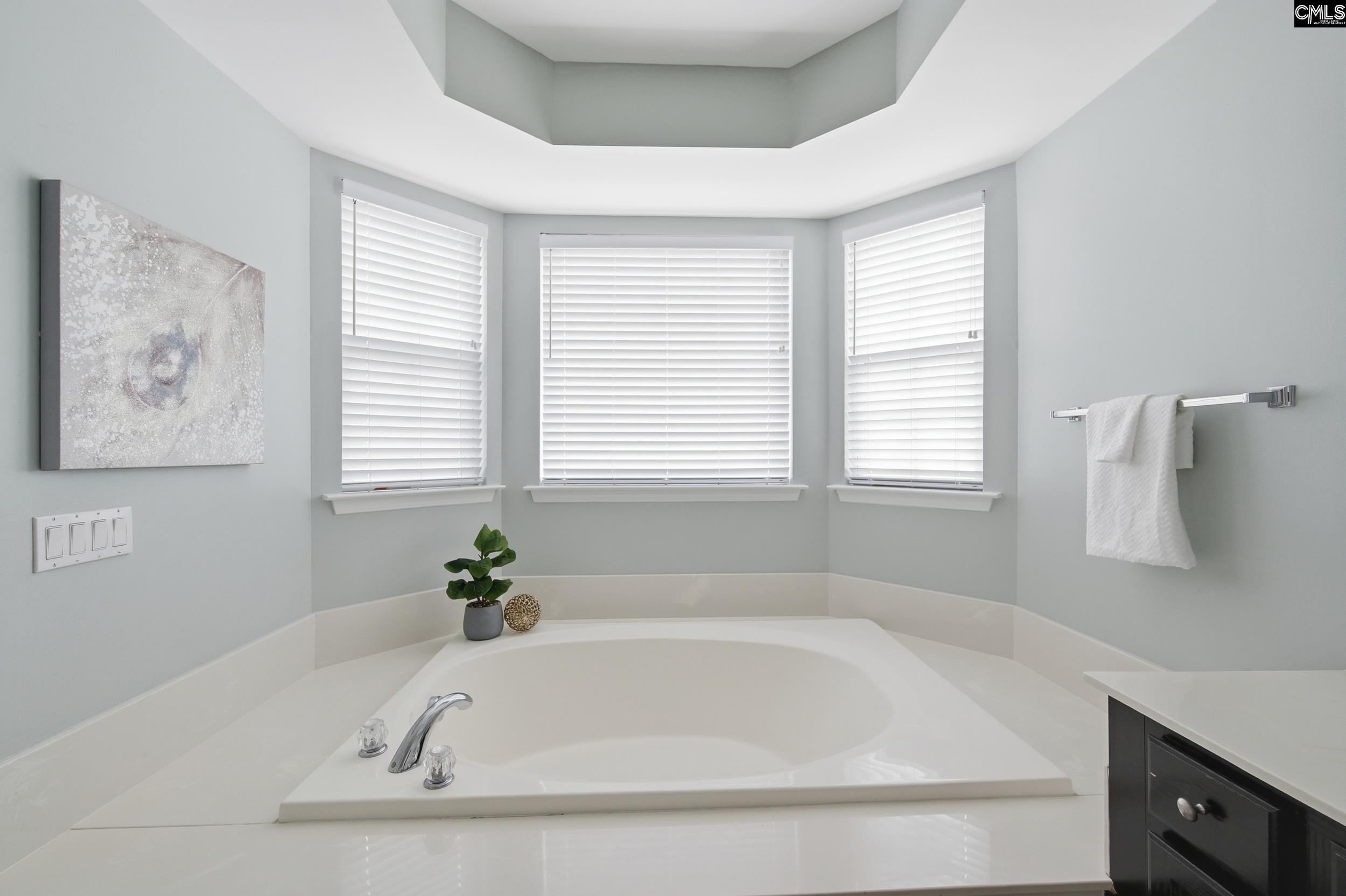 224 Millwright Drive Lexington, SC 29072 - Photo 23 of 50