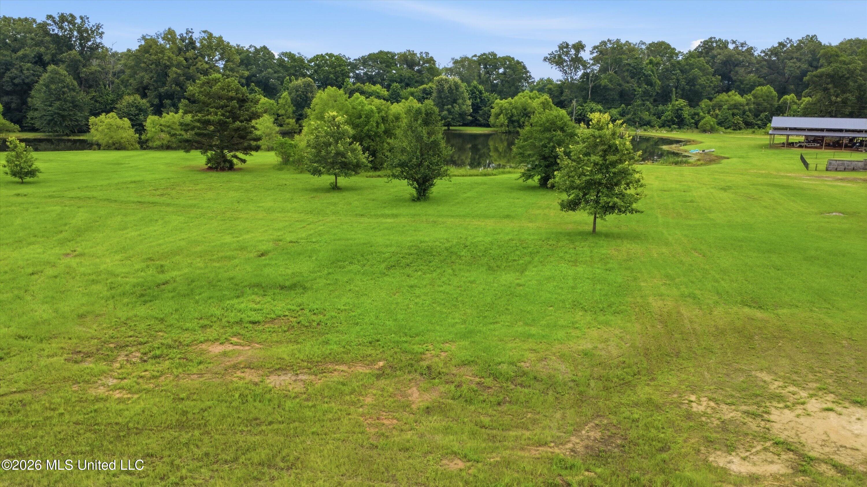 142 Iron Oak Ridge Brandon, MS 39042 - Photo 8 of 26 12-142_Iron_Oak_Ridgee_013