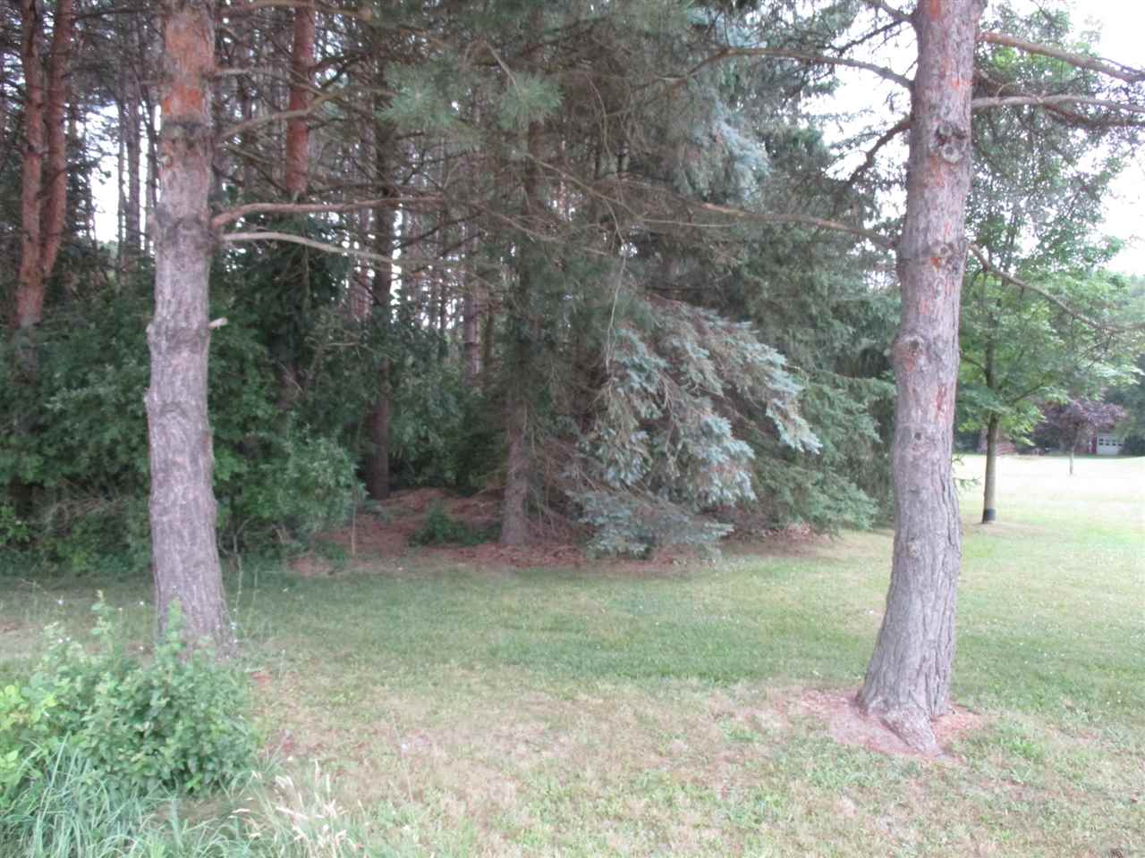 Parcel A North Byron Road Lennon, MI 48449 - Photo 10 of 22