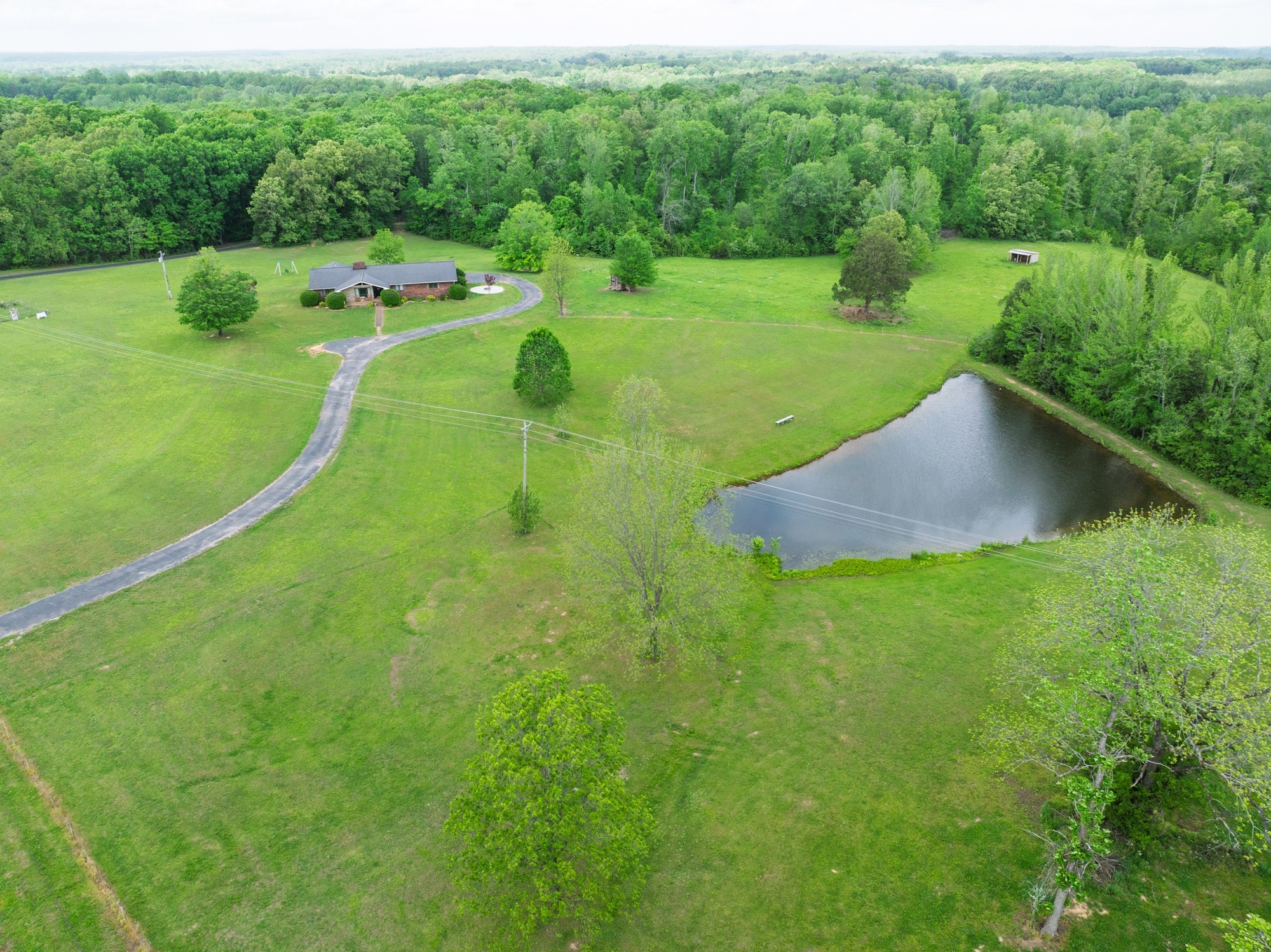 3080 Bible Hill Road Parsons, TN 38363 - Photo 4 of 76 a view of a garden with a swimming pool